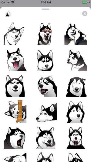 Husky Friend(圖1)-速報App