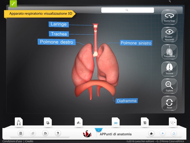 APPunti di anatomia Lite screenshot-3
