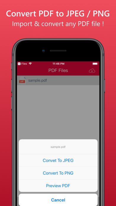 How to cancel & delete PDF to JPEG / PNG from iphone & ipad 1
