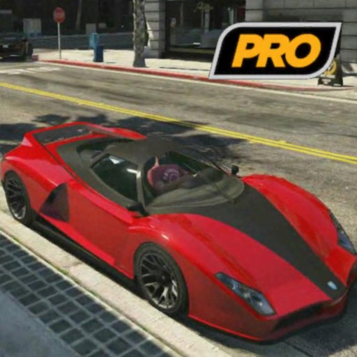 Real Car Game Pro Icon