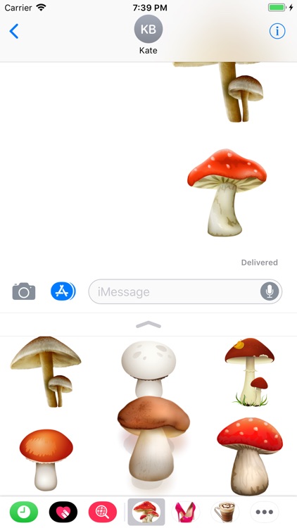 Mushrooms Of Course