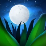 Soothing Sounds Sleep Melody
