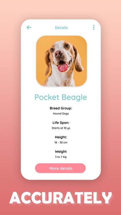 Lookuq Doggo screenshot-3