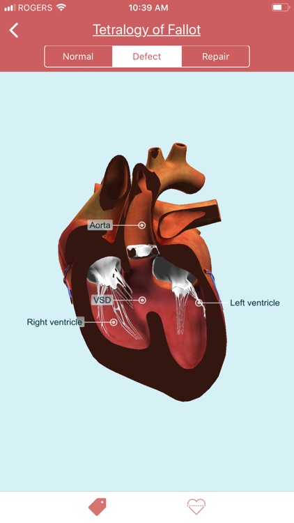 eMurmur Heartpedia screenshot-4
