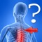 "Anatomy Spine Quiz" is one more quiz to test your knowledge of human anatomy