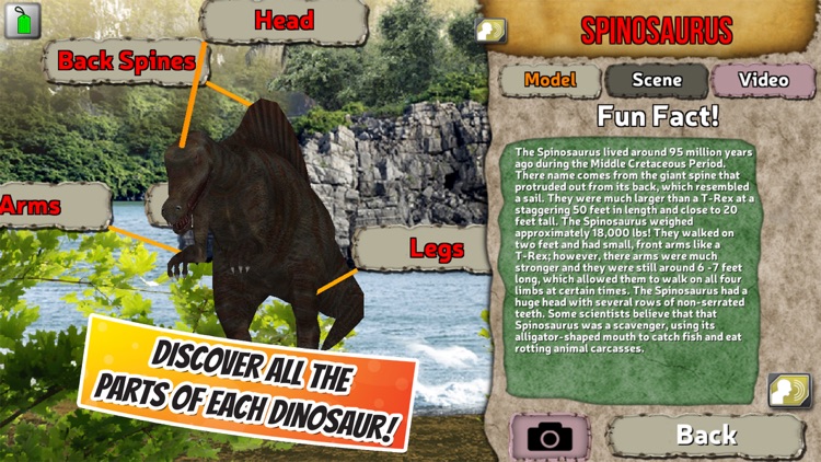 Popar Dinosaurs screenshot-4