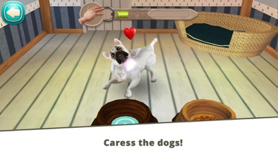 DogHotel - My boarding kennel for dogs Screenshot 9