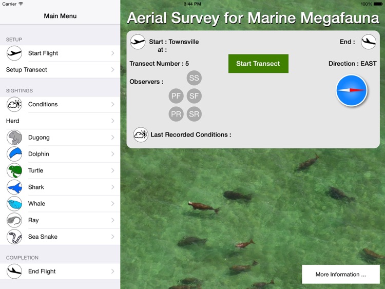 Aerial Survey Marine Megafauna