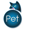 KEDiPET.COM Yavru Kedi ilanı
