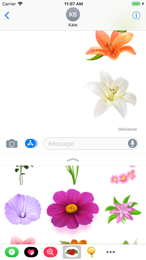 Flowers Collection Stickers(圖4)-速報App