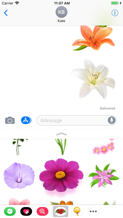 Flowers Collection Stickers screenshot-3