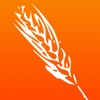 Quick Commodities Quick Commodities