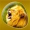 Every animal in your iPhone/iPad, and much more: more than 600 images in high definition, each animal’s real sound, accurate informative cards, environmental tours on set, recognition quiz and puzzles with different levels