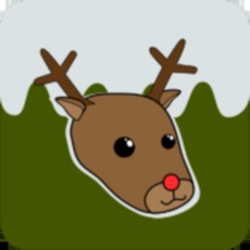 Activities of Reindeer Runner