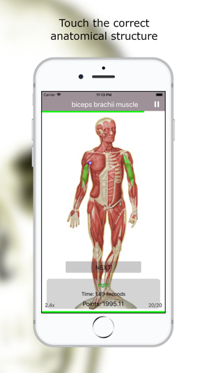 Anatomy Quiz Premium(圖2)-速報App