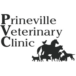 Prineville Vet