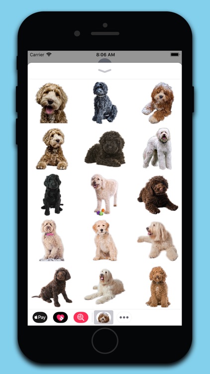 Labradoodle Stickers