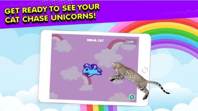 Ninja Cat: Game for Cats screenshot 3