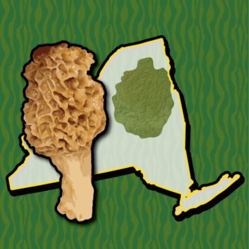 Adirondack Mushroom Forager NY Icon