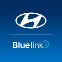 Приложение bluelink хендай