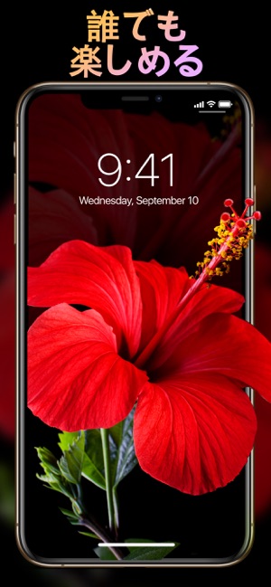 ダイナミック壁紙 と 背景 をapp Storeで