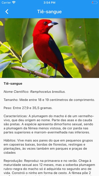 Eco aves - Biologia