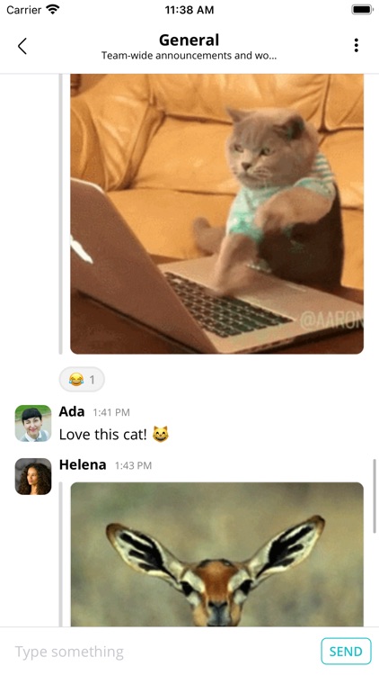 reemotly screenshot-8