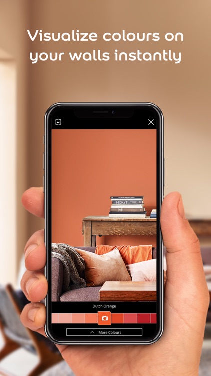 Dulux Visualizer IE