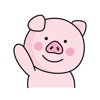 Lovely Pink Pig