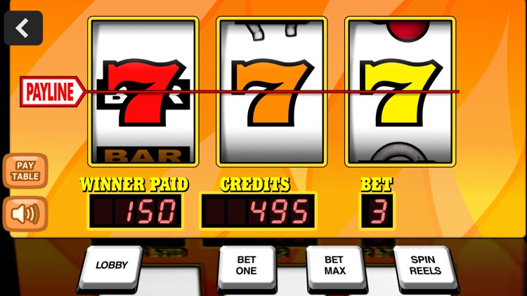 Fun Casino Slots screenshot-4