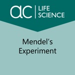 Mendel’s Experiment