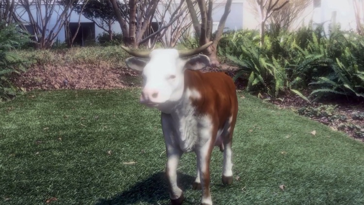 AR Petting Zoo screenshot-9