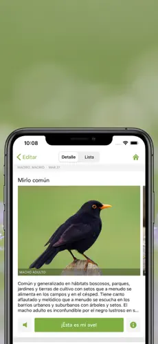 Captura 3 Merlin Bird ID por Cornell Lab iphone