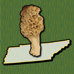 Tennessee Mushroom Forager Map