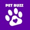 An online shop specialized in pet supplies, we have everything your pet might need right here