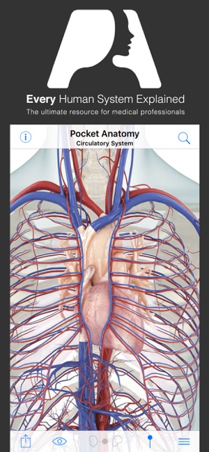 Pocket Anatomy(圖2)-速報App