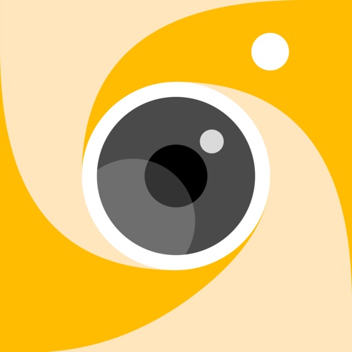 Art Camera -AI Pic& Cartoon