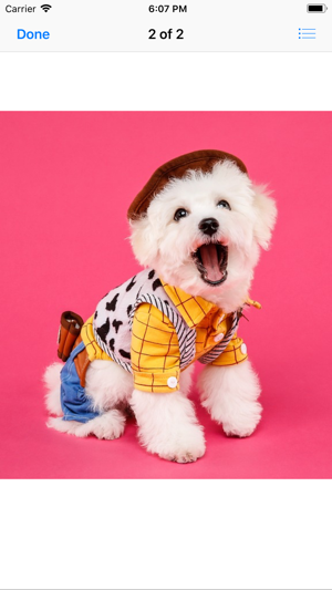 Pets In Costume(圖2)-速報App