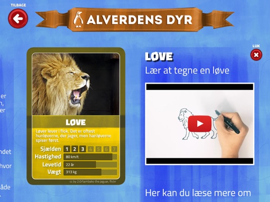 Alverdens Dyr screenshot 2