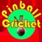 Enjoy the thrills of a fast paced Cricket game