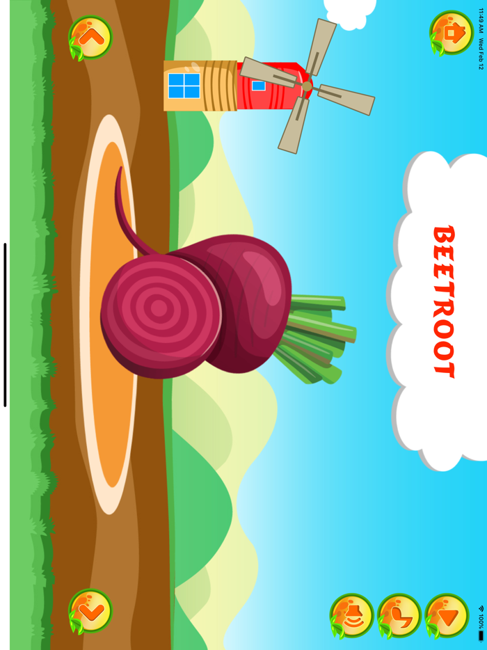 Learn about Vegetables