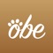 Obe's Digital Dog Wellness System automatically tracks your dog's food and water consumption so you can understand their habits and learn what's normal for your pet