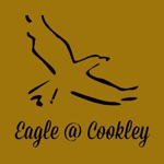 Eagle And Spur