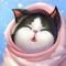 Welcome to Kitten Match
