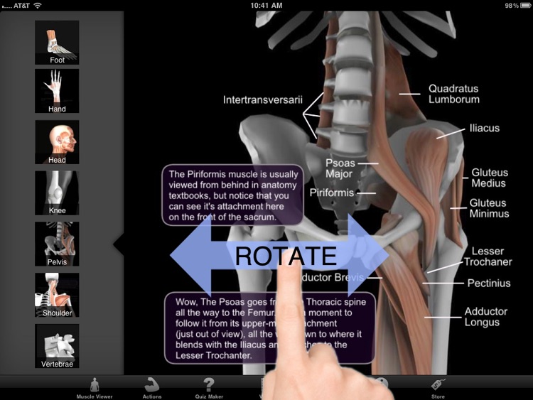 Muscle & Bone Anatomy 3D screenshot-3
