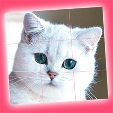 Activities of Cute Kittens - Easy Puzzle