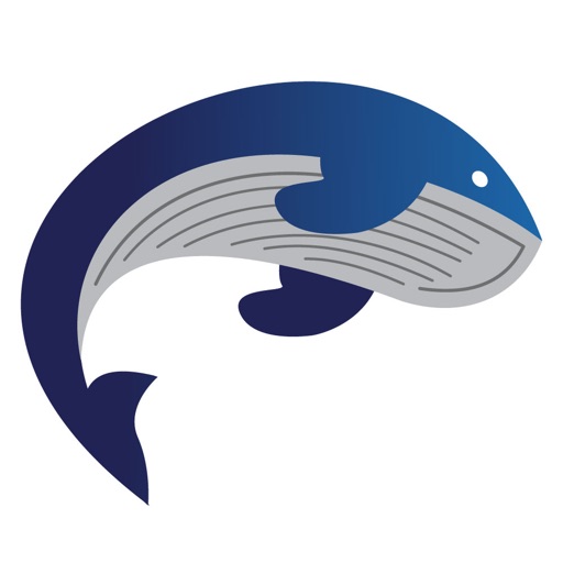 Whales College Download