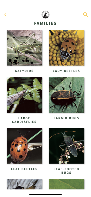 NWF Guide to Insects & Spiders(圖2)-速報App