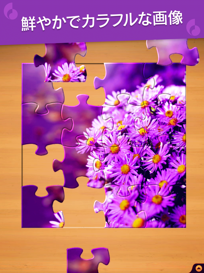 Jigsaw Puzzle Pro
