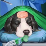 Pet Vet حيوان دكتور ينقذ